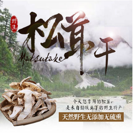 推荐：稻城花儿原生态土特产店-松茸干片